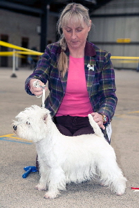 1st Post Graduate Bitch - Dalskairth Kirkcolm Cutie