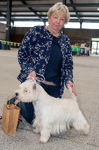 1st Post Graduate Dog - Frisbeck Horn Pipe