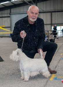 1st Veteran DogBitch - Ch Fourastay Fontayne JW Best Veteran in Show