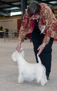 2nd Limit Bitch - Krisma Finishing Touch For Llovall