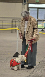 559362251_1229677899199846_783559204130399645_n