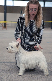1st Puppy Bitch - Marlablue Smile and Wave at Ashgate